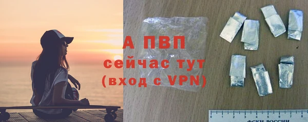 хмурый Верея