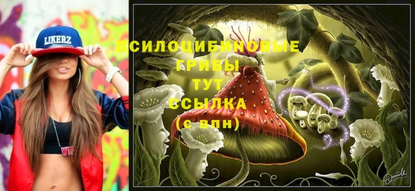 тгк Верхний Тагил