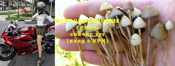 а пвп мука Вязьма