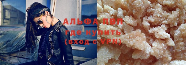 хмурый Верея