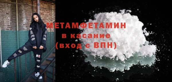 прущие грибы Вяземский