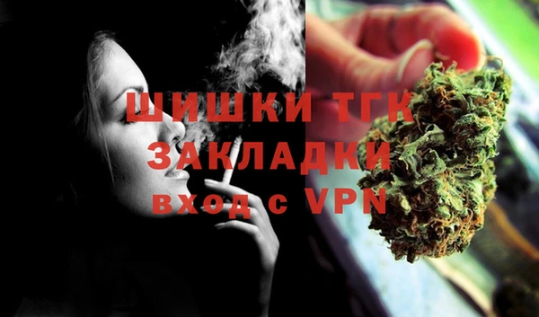 хмурый Верея