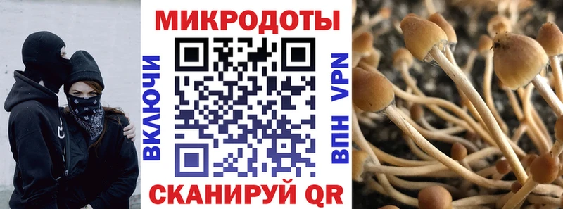 Псилоцибиновые грибы Psilocybe  Северодвинск 